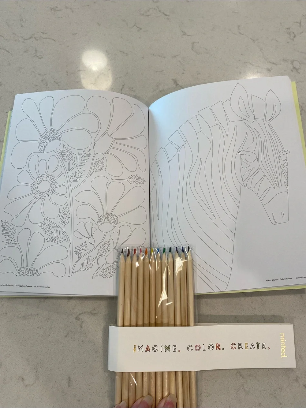 Minted kit - wrapping paper, cards, artist coloring book